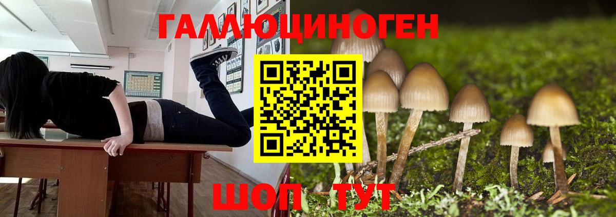 Галлюциногенные грибы Magic Shrooms  Вход с VPN  Кинешма 